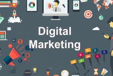 Digital Marketing Company in Roorkee