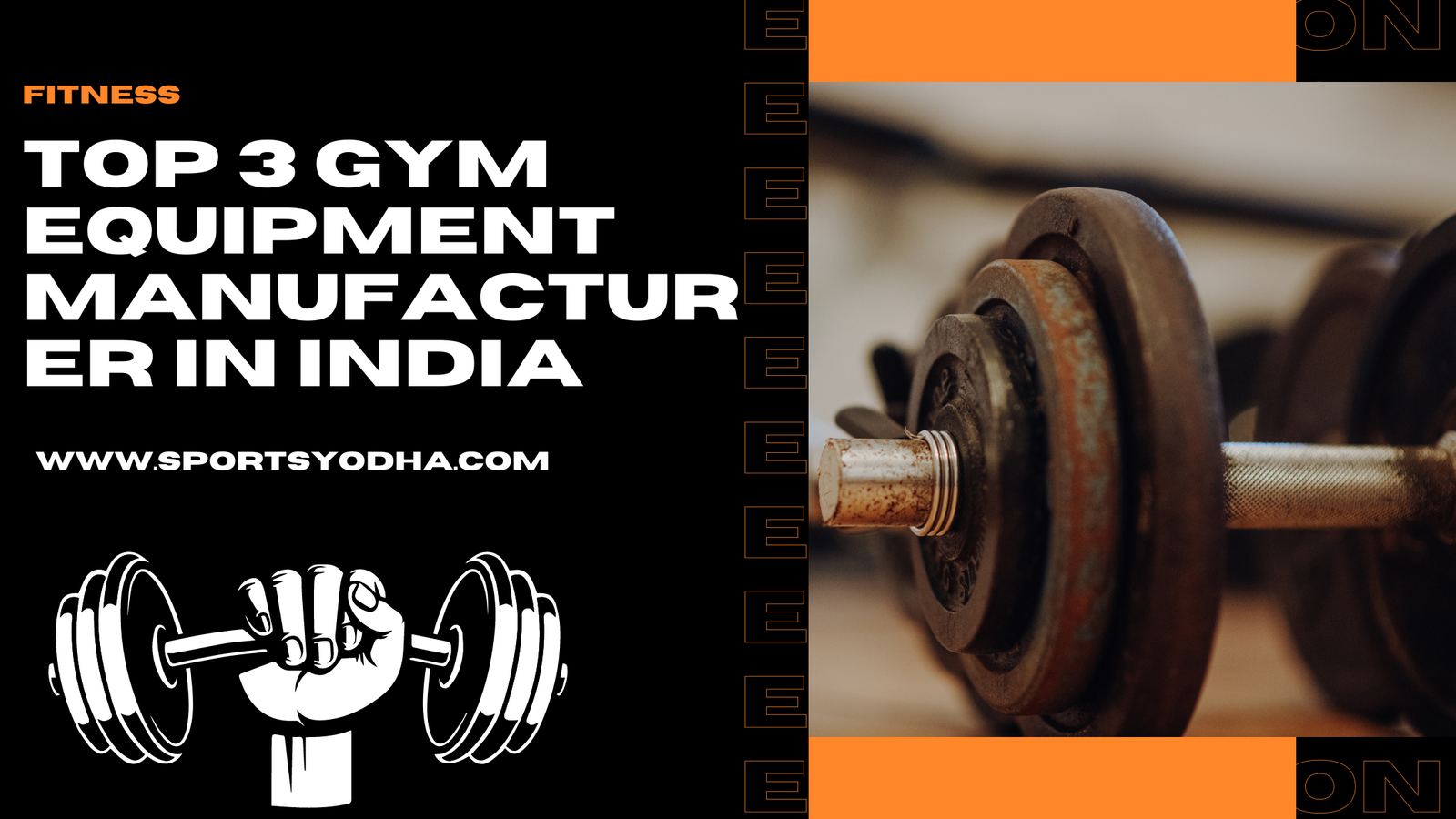 Top 3 gym equipment brand in India