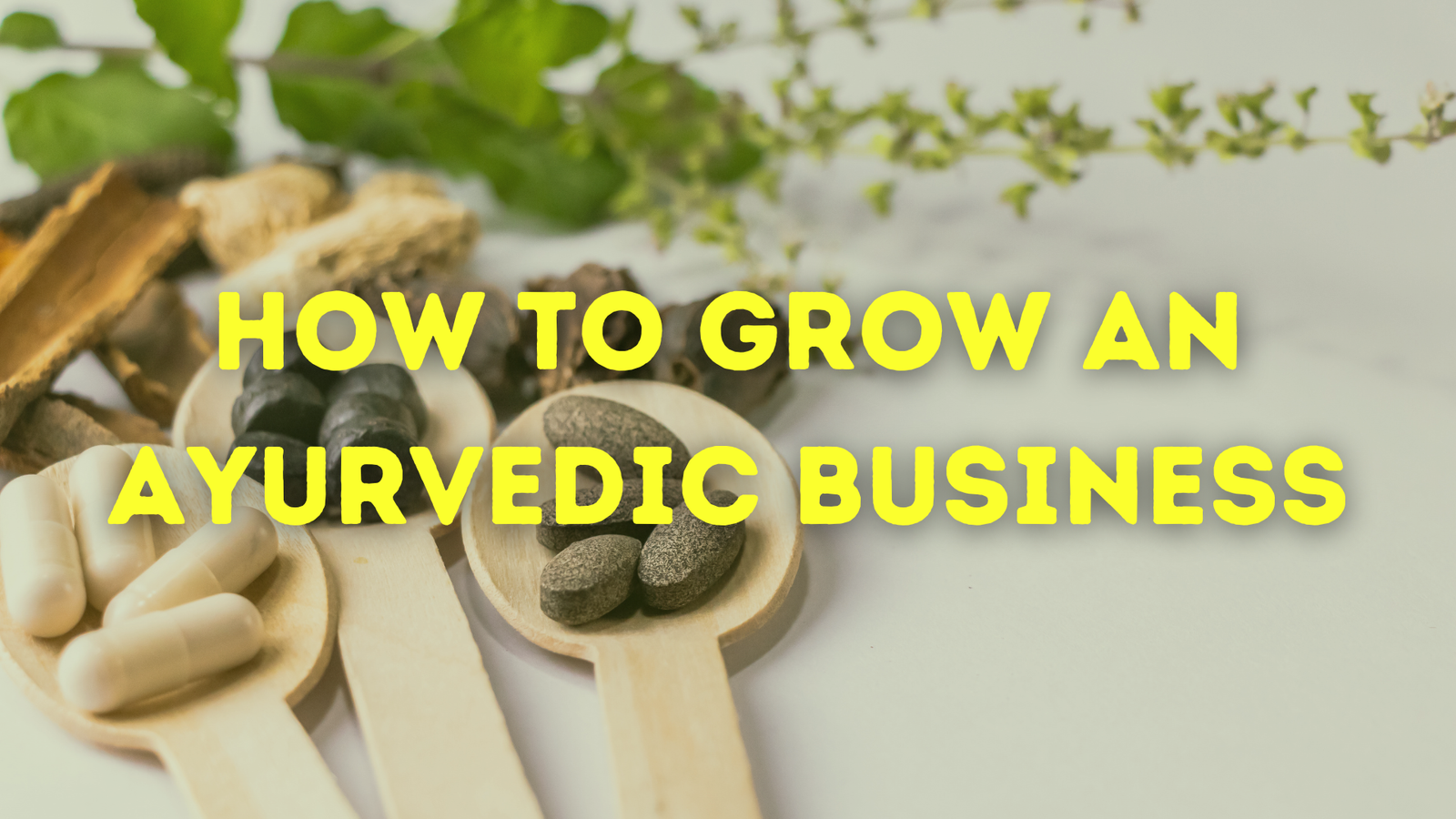 How to Grow an Ayurvedic Business